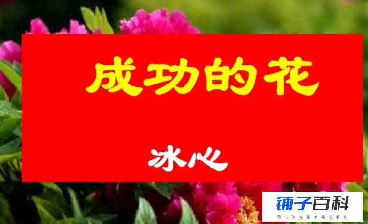 《成功的花》读后感怎么写