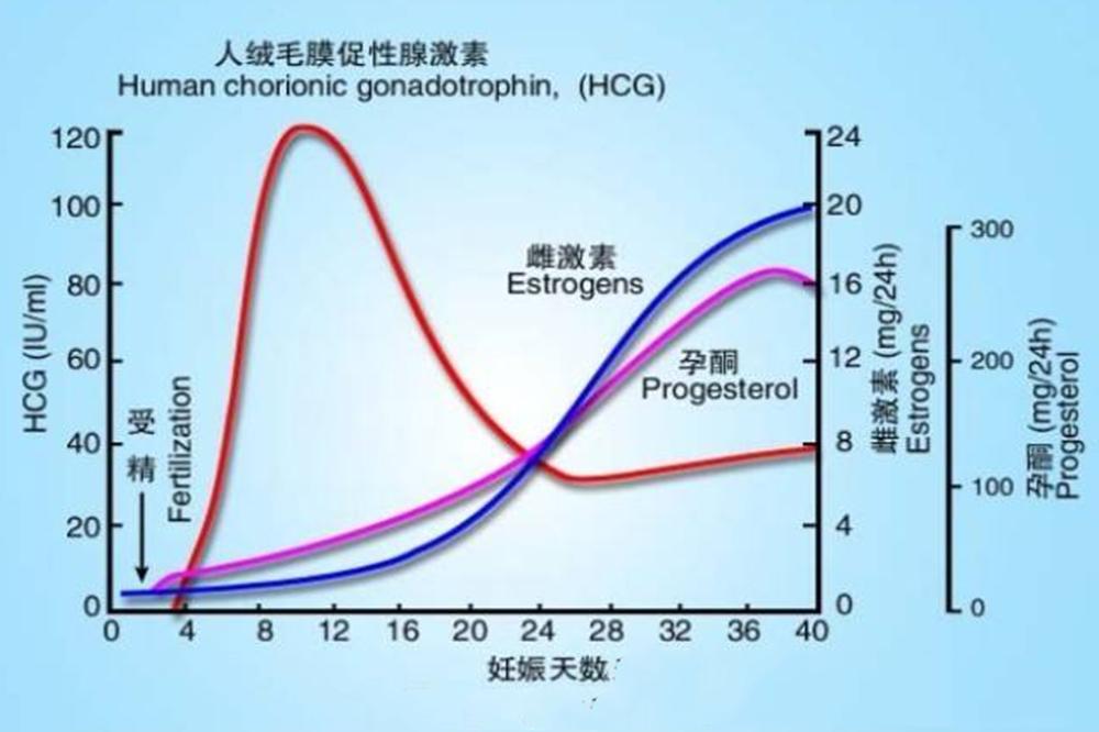 测早孕显示“一深一浅”，是怀上还是没怀上？别上了验孕棒的当