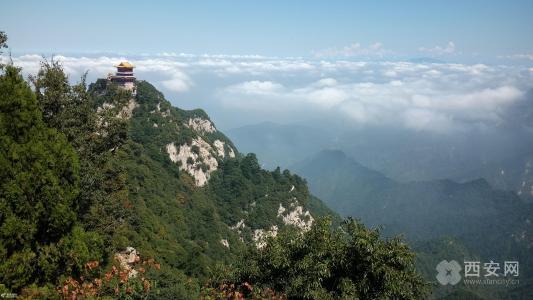 你不知道的陕西秦岭四宝