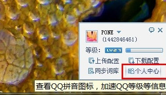 QQ拼音输入法怎么点亮图标 点亮图标操作讲解