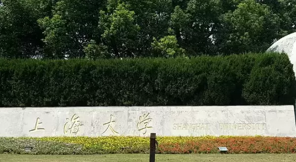 上海10大211大学，复旦大学居榜首，你的母校排第几？