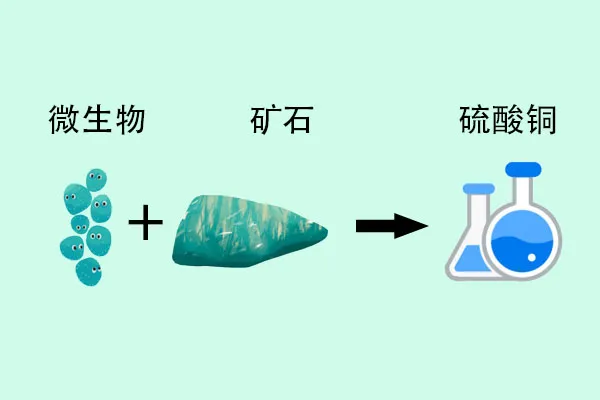 哑泉让人失声的原因?哑泉有哪种物质,自然探秘——哑泉