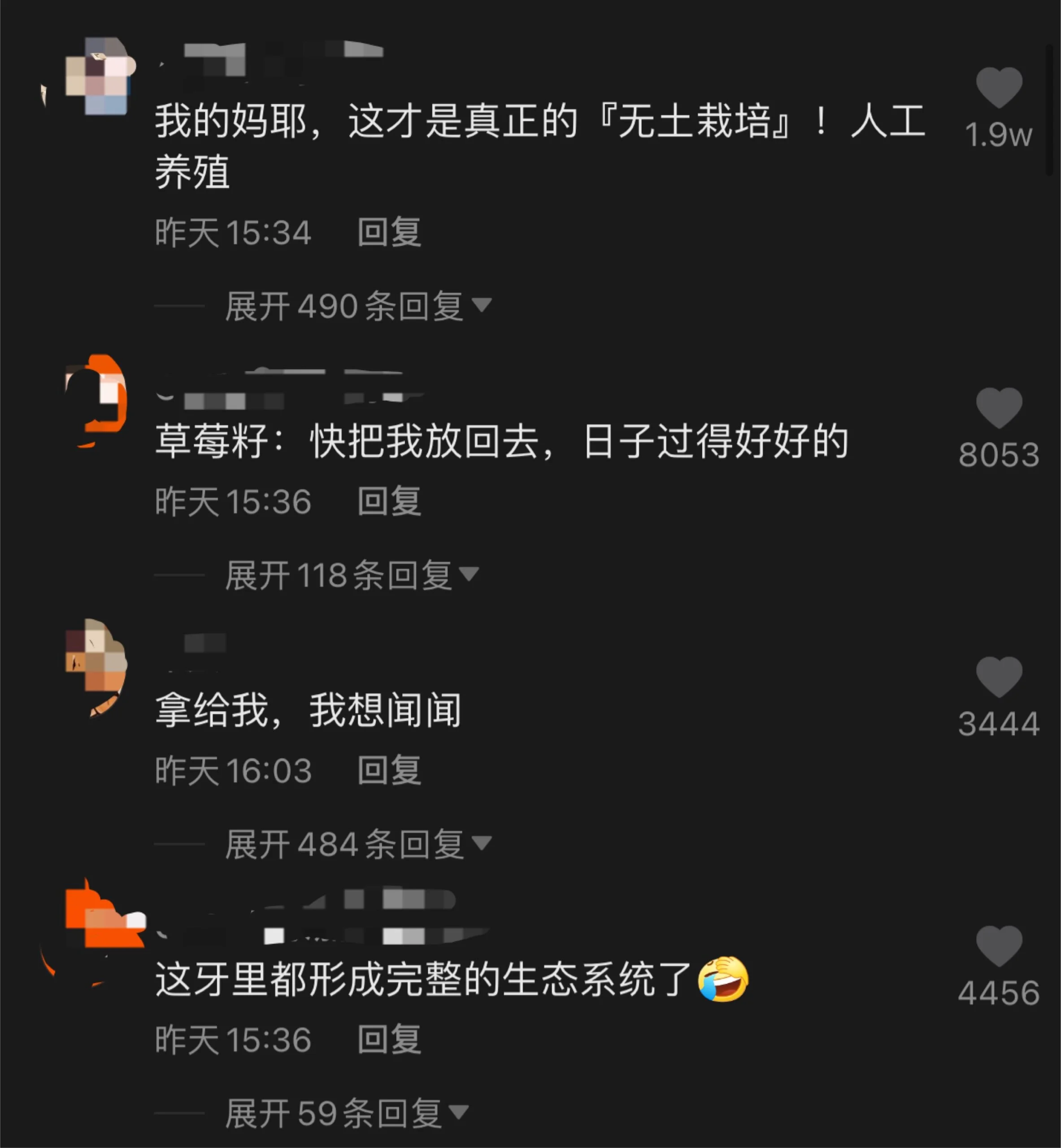 网友评论