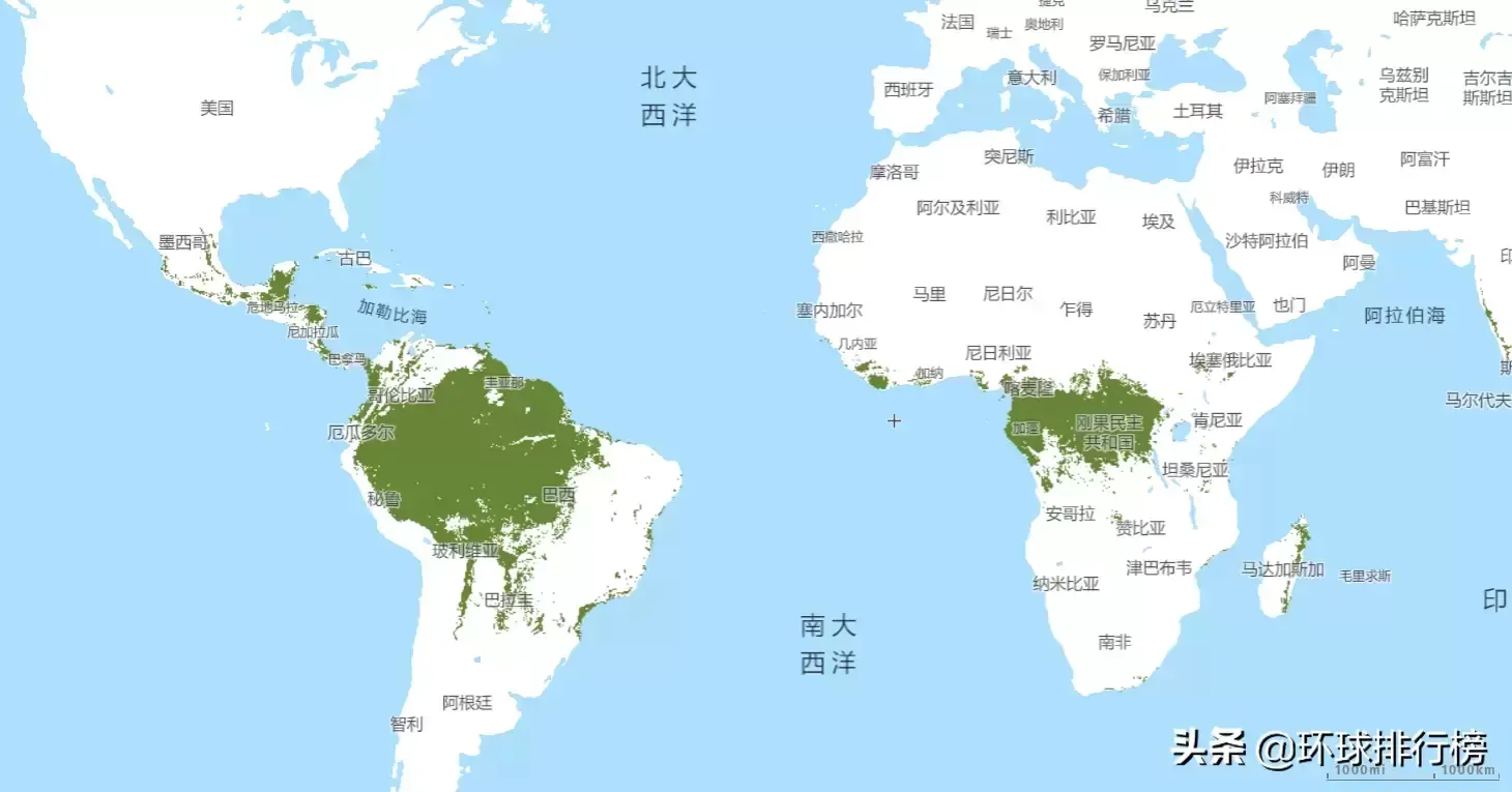 世界各国森林面积排名Top10