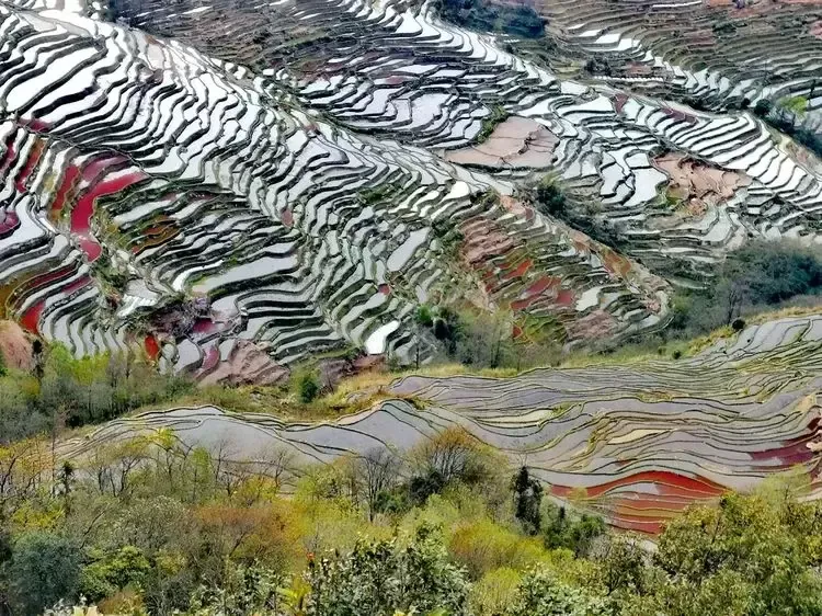 私藏在中国最美的梯田，劳动人民的智慧结晶，你去过吗？