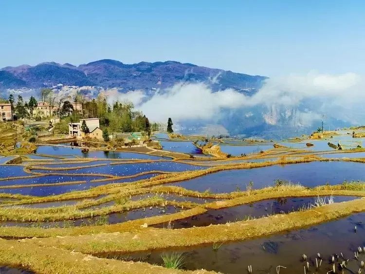 私藏在中国最美的梯田，劳动人民的智慧结晶，你去过吗？