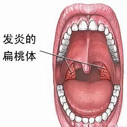 一组我们可能永远无法亲眼目睹的照片，原来地球那么美