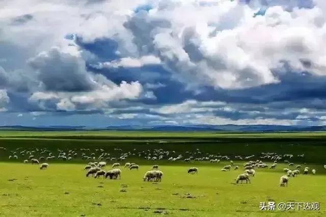 敕勒族|又名丁零、高车、回鹘，4世纪中叶，在阴山的敕勒人鲜卑化