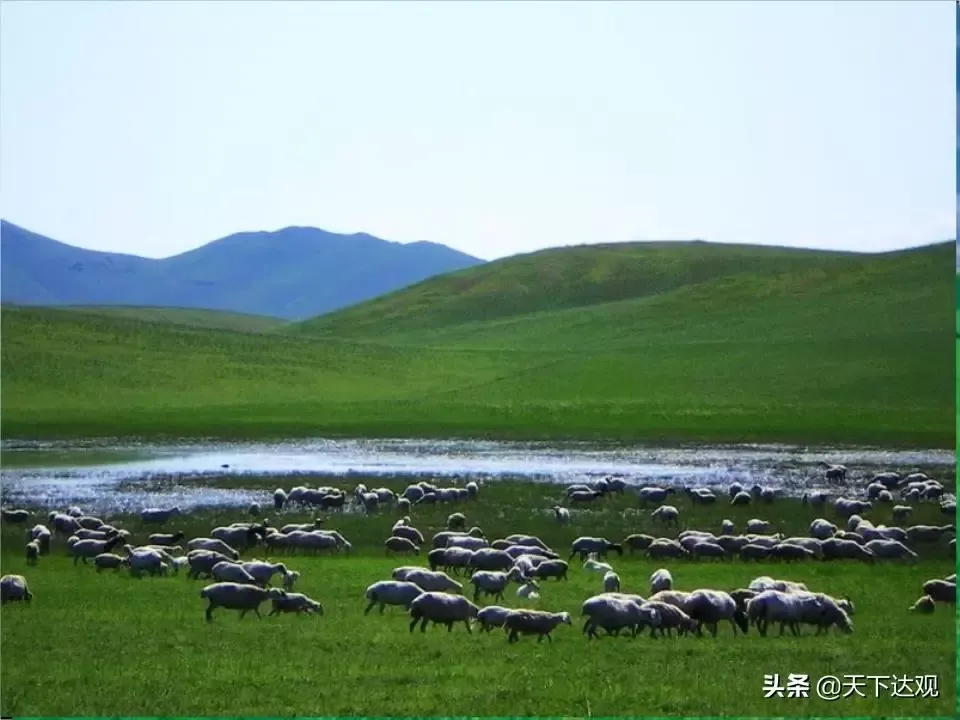 敕勒族|又名丁零、高车、回鹘，4世纪中叶，在阴山的敕勒人鲜卑化