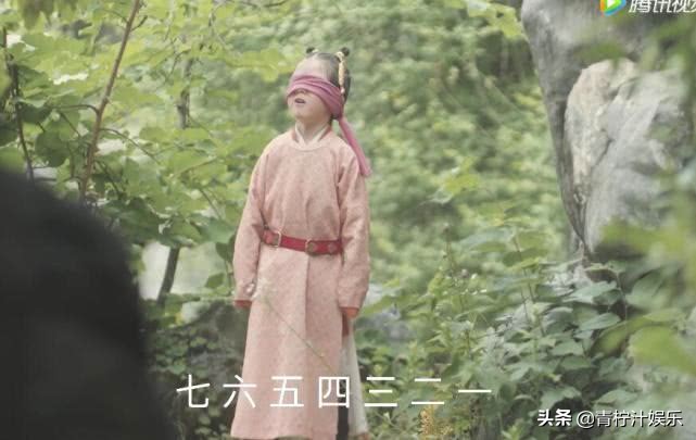 赵祯和曹皇后有几个孩子（历史上曹皇后有没有生过孩子）