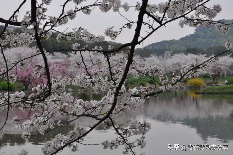 武汉景点排行榜前十名（湖北自驾游必去的十大好玩景点）