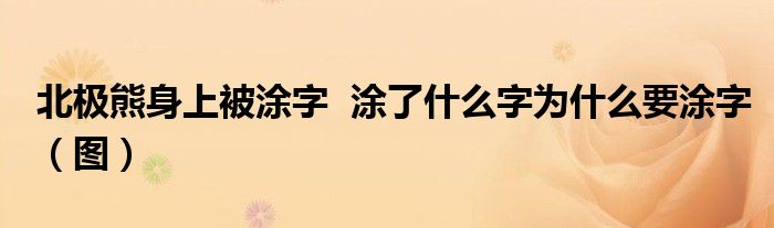 北极熊身上被涂字 涂了什么字为什么要涂字（图）