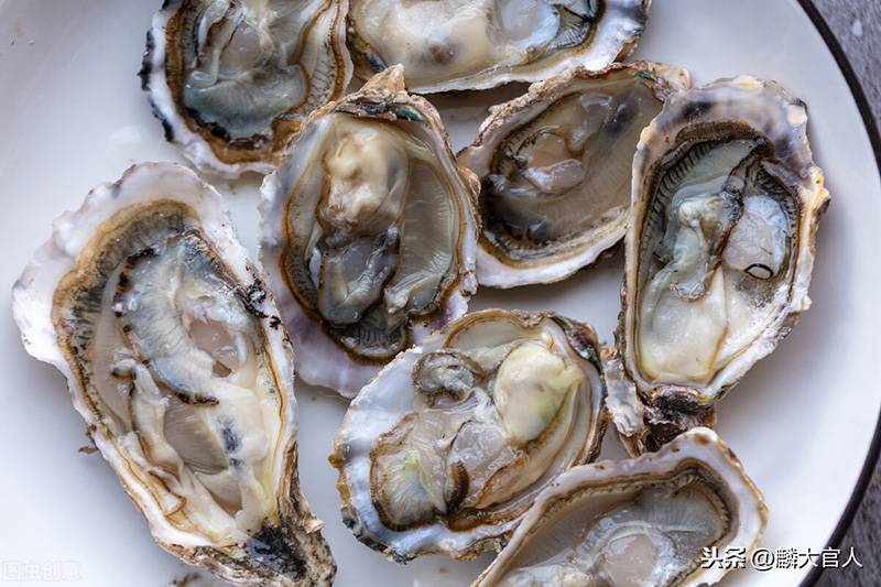 海蛎和生蚝的区别在哪里（海蛎和生蚝对比谁更好吃）