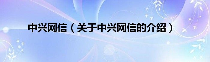 中兴网信（关于中兴网信的介绍）