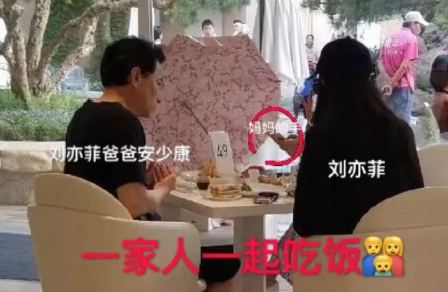 刘亦菲：梦华录前她只演过4部剧且未满18，为何能拥有百亿身家？