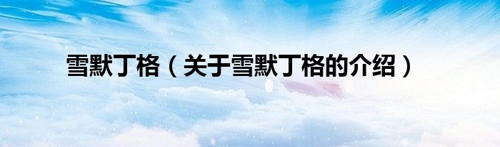 雪默丁格（关于雪默丁格的介绍）