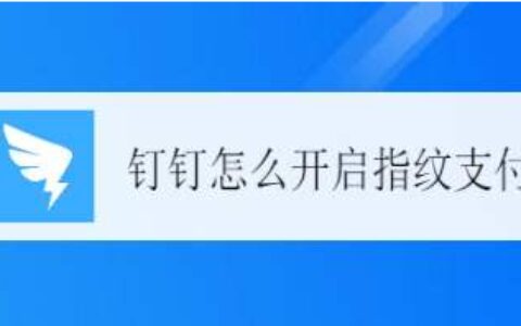 钉钉指纹支付怎么开启