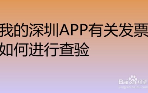 我的深圳app怎么进行发票查验