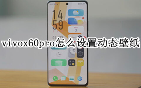 vivox60pro动态壁纸怎么显示