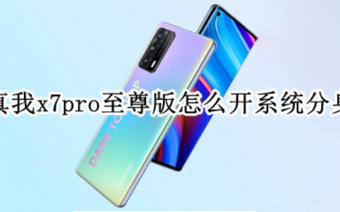 真我x7pro至尊版如何使用双系统