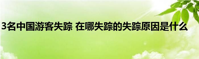 3名中国游客失踪 在哪失踪的失踪原因是什么