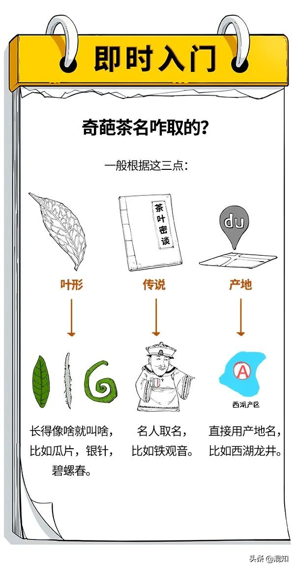 一口气搞懂中国十大名茶：五花八门的茶名，都是咋取的？