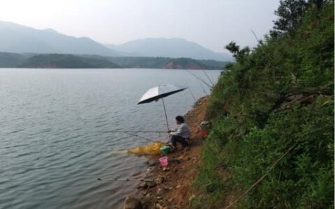 水库钓鱼技巧，水库钓鱼方法，水库钓大鱼技巧