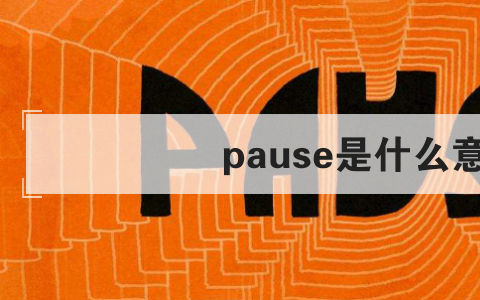 pause是什么意思