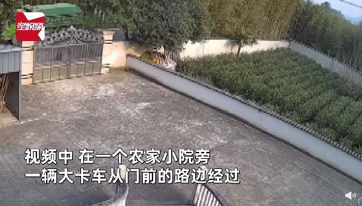 图片[1]-野猪受惊吓撞翻铁门越过围墙(野猪撞翻了铁门跳过围墙仓皇逃走)-欣欣百科网