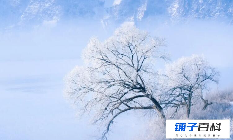 什么的大雪如何填空