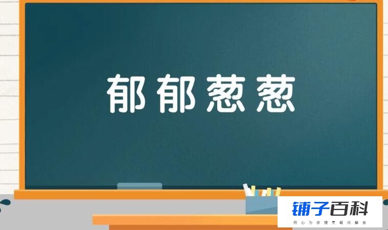 郁郁葱葱怎么造句