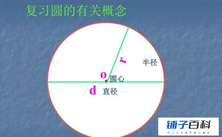 r代表直径还是半径