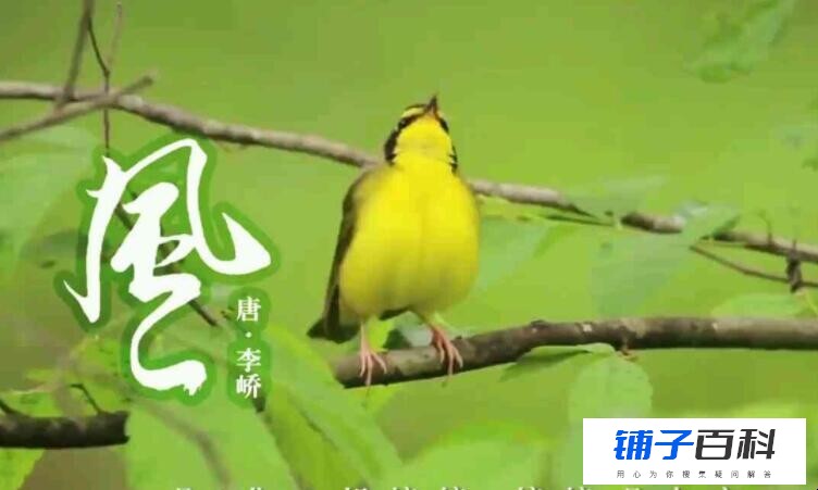 能开二月花全诗是什么