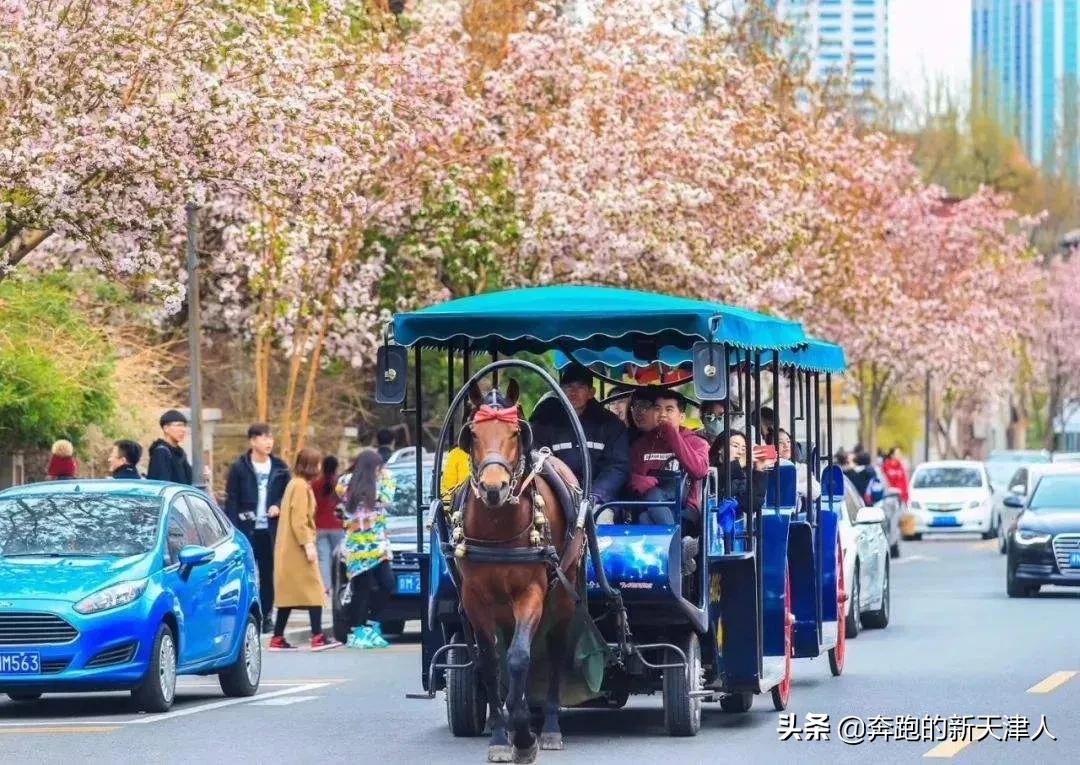 天津旅游超全攻略，收藏它会让你少走很多弯路