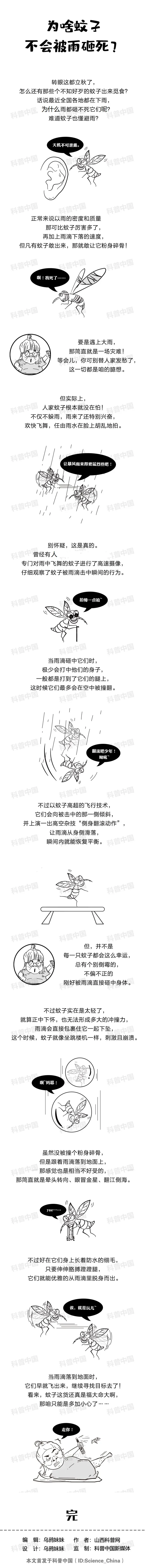 为什么蚊子不会被雨滴砸死？多年的疑问总算解开了