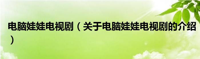 电脑娃娃电视剧（关于电脑娃娃电视剧的介绍）