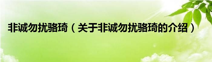 非诚勿扰骆琦（关于非诚勿扰骆琦的介绍）