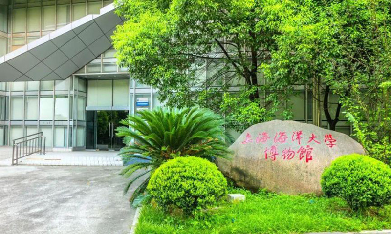 上海海洋大学是一本还是二本（上海海洋大学排名）