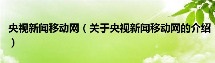 央视新闻移动网（关于央视新闻移动网的介绍）