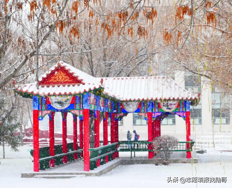 石河子大学怎么样（为了211选石河子大学值吗）