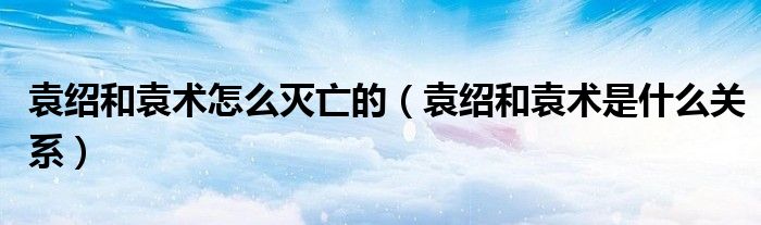 袁绍和袁术怎么灭亡的（袁绍和袁术是什么关系）