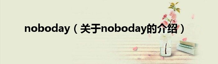 noboday（关于noboday的介绍）