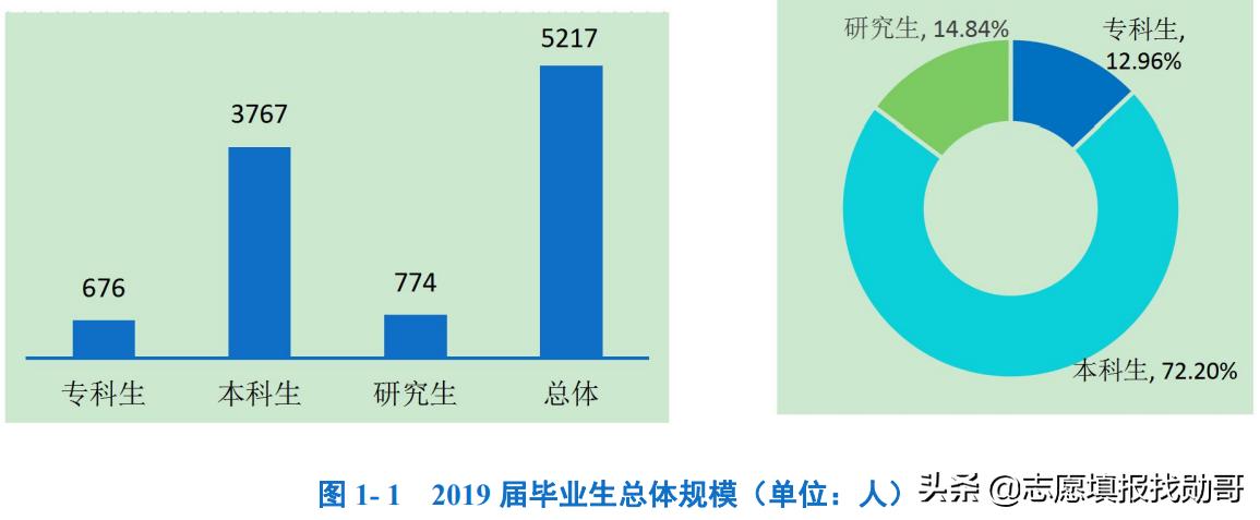 上海工程技术大学是一本还是二本（上海工程技术大学排名）