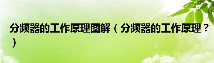 分频器的工作原理图解（分频器的工作原理？）