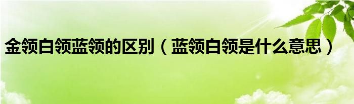 金领白领蓝领的区别（蓝领白领是什么意思）