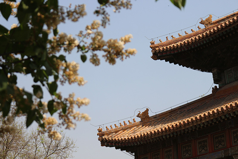 北京五一旅游攻略必去景点（北京一日游最佳景点大全）