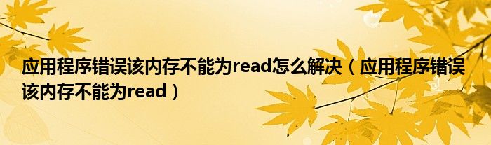 应用程序错误该内存不能为read怎么解决（应用程序错误 该内存不能为read）