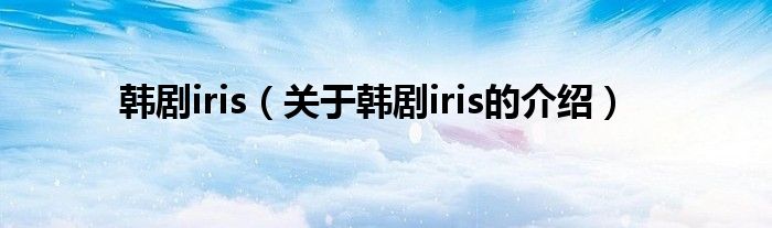 韩剧iris（关于韩剧iris的介绍）