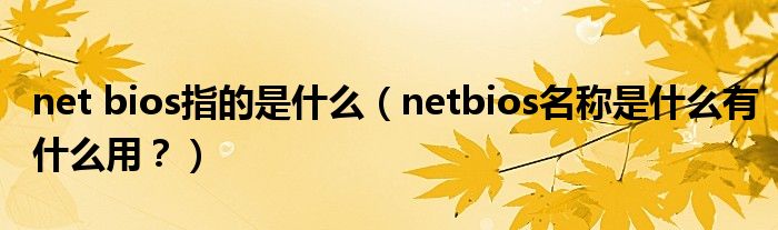 net bios指的是什么（netbios名称是什么有什么用？）