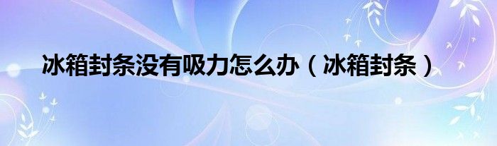 冰箱封条没有吸力怎么办（冰箱封条）